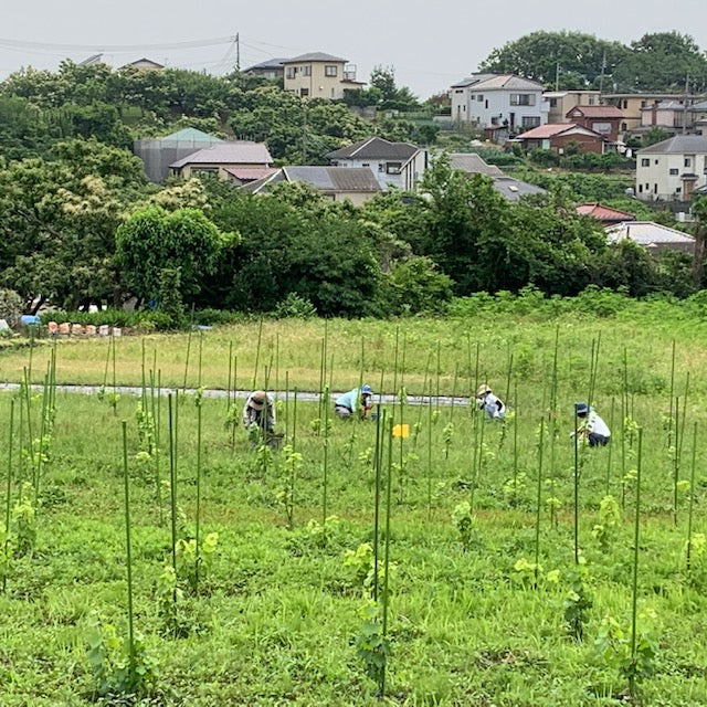 年会費一回払い:クレジットカード決済