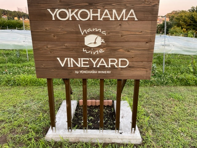 年会費一回払い(2020年):クレジットカード決済